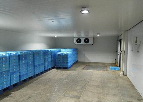 食品加工型低溫冷藏庫(kù) 食品加工型低溫冷藏庫(kù)