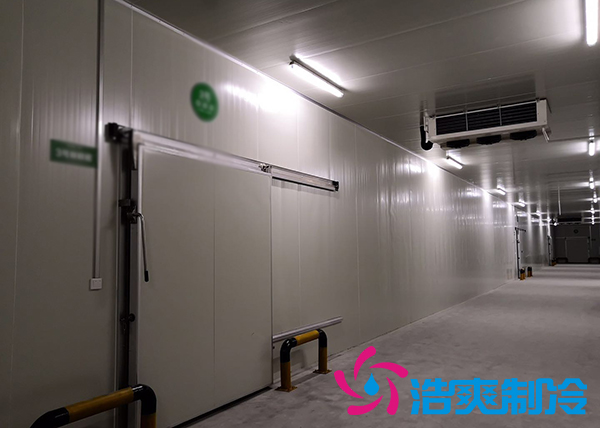 新鮮檳榔如何通過建造檳榔凍庫有效儲存？_浩爽制冷