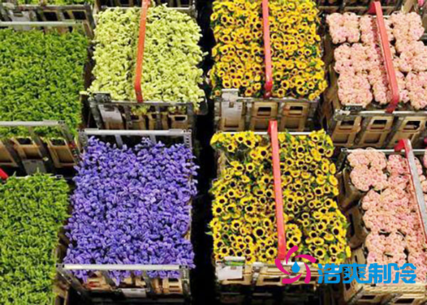 花卉冷庫安裝預(yù)算造價(jià)多少錢？-浩爽制冷