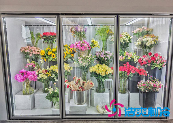 花店冷庫(kù)適合風(fēng)冷還是直冷？-浩爽制冷