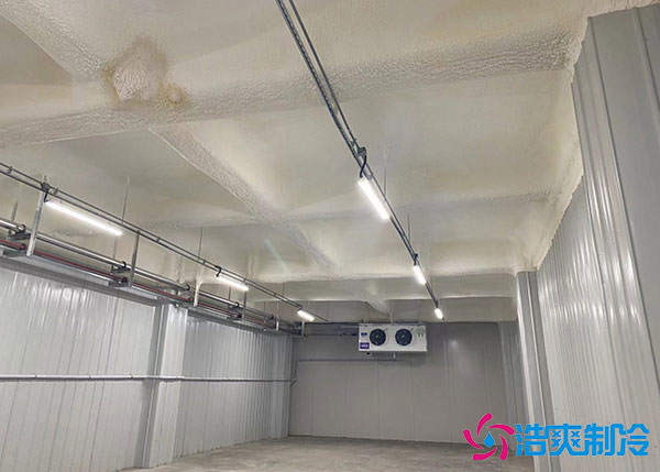 低溫冷庫建造用風冷好還是排管好？.jpg