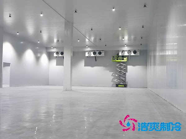 自建冷庫(kù)的成本與維護(hù)費(fèi)用概述
