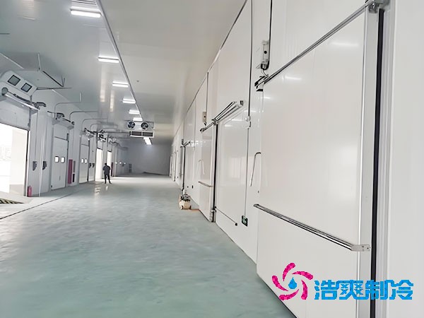 500噸容量冷庫造價