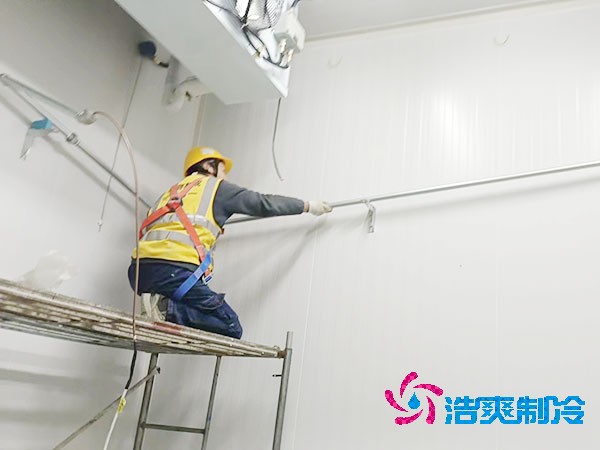 500噸容量冷庫造價