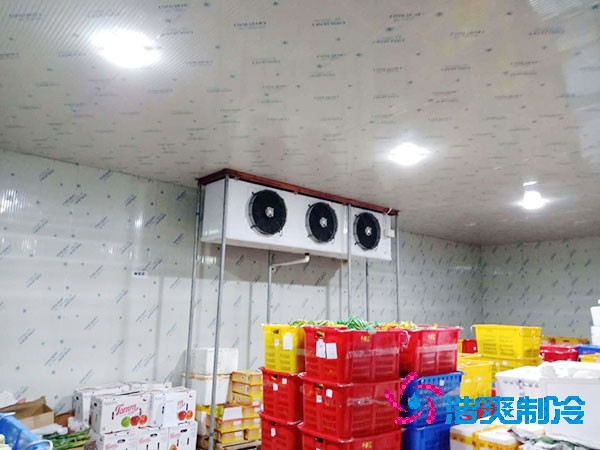果品冷庫設計與安裝造價如何計算？-浩爽制冷