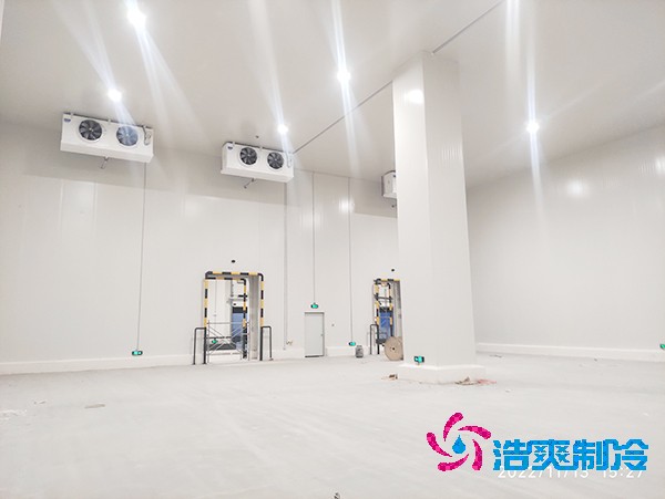 零下60度金槍魚急凍庫設(shè)計標準