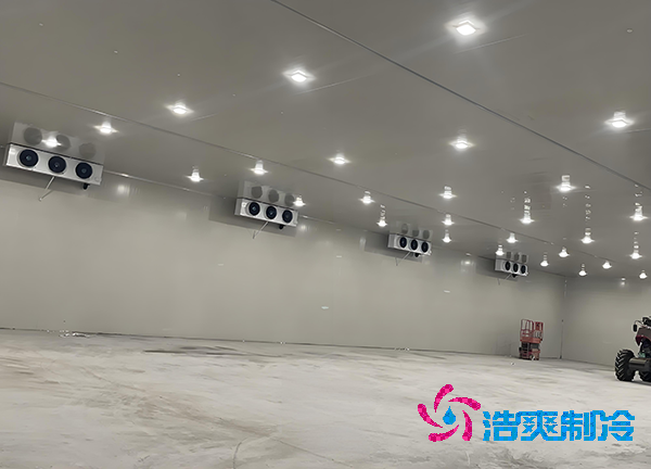 -18℃凍肉能放半年？揭秘食品冷庫造價秘密！-浩爽制冷