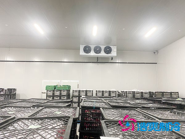 想知道保鮮冷庫設(shè)計(jì)安裝要花多少錢？-浩爽制冷