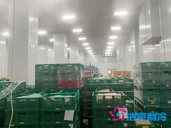 夏季蔬菜保鮮難？500噸冷庫(kù)建造價(jià)格揭秘！