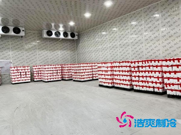 火龍果保鮮冷庫造價