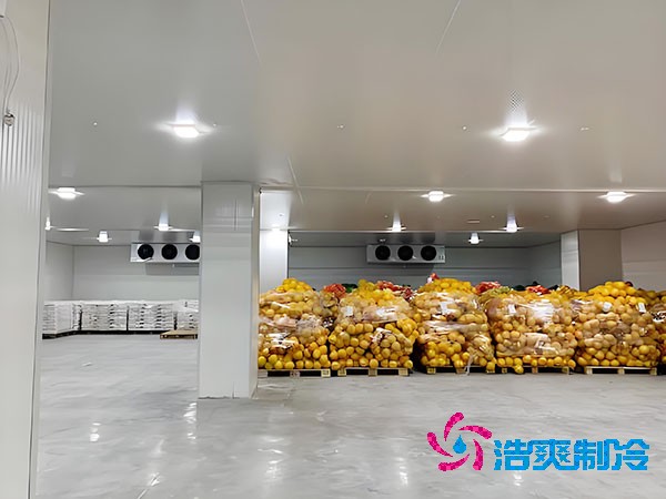 建一個蔬菜冷庫造價需要多少錢？-浩爽制冷